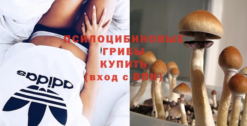 Галлюциногенные грибы Magic Shrooms  купить   Уфа 